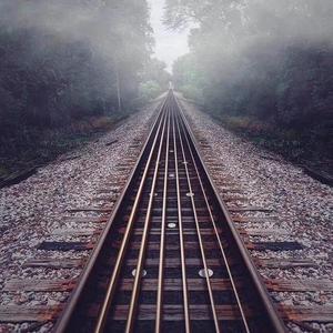 千朵桃花一世开电视剧免费观看
